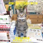 たくさんのファンが応援してくれてます。感謝!その5