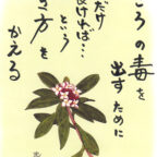 今日も一日元気を差し上げます。心の毒は取れてますか？