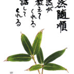 今日も一日元気を差し上げます。皆さん宇宙の事意識したことありますか？