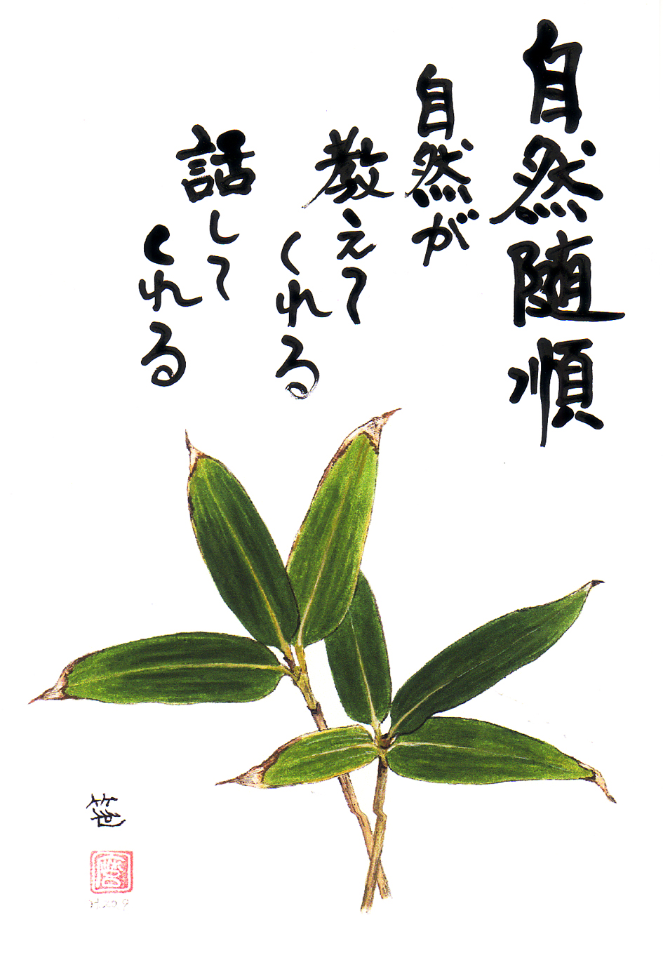 今日も一日元気を差し上げます。皆さん宇宙の事意識したことありますか?