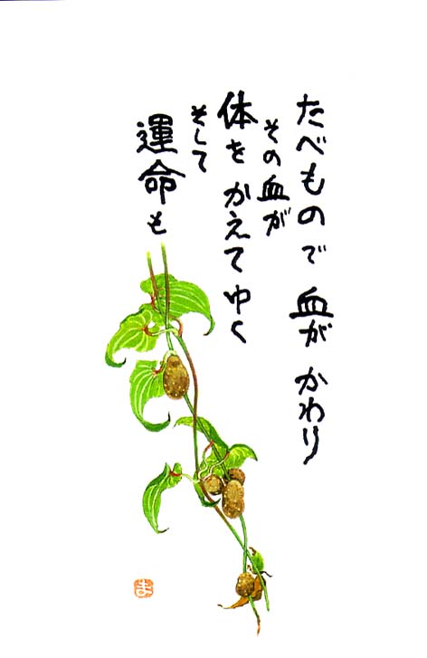 今日も一日元気を差し上げます。皆さん血液の洗濯してますか？