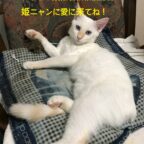 今日も一日元気を差し上げます。